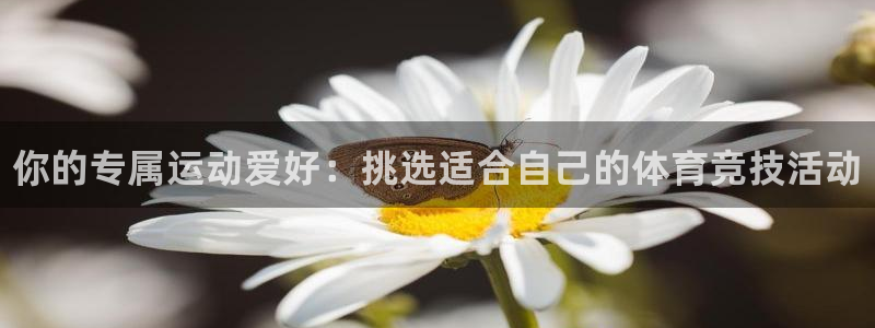 JJB竞技宝官网下载注册：你的专属运动爱好：挑选适合