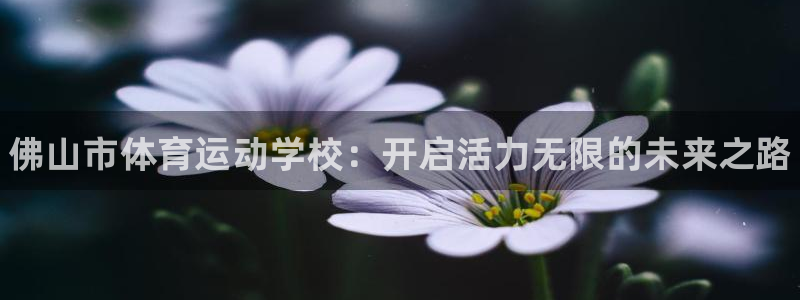 JJB竞技宝官网下载平台注册要钱吗安全吗：佛山市体育