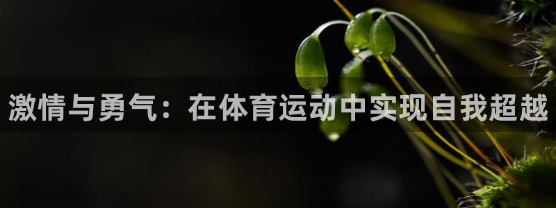 JJB竞技宝官方正版app官方