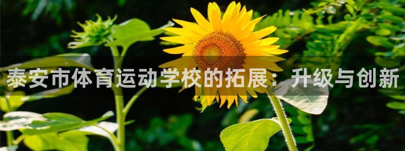 JJB竞技宝官方正版app娱乐