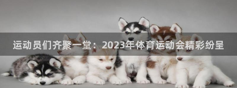 JJB竞技宝官方正版app集团简介：运动员们齐聚一堂：202