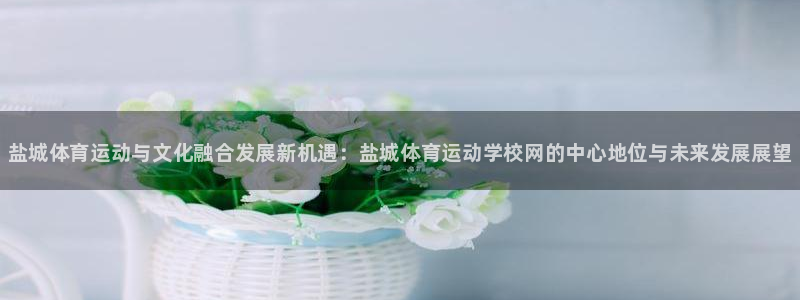 JJB竞技宝官方正版app神州：盐城体育运动与文化融