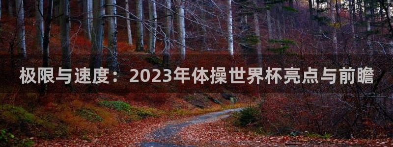 JJB竞技宝官方正版app代理：极限与速度：2023