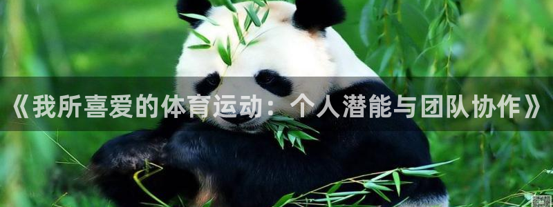 JJB竞技宝官方正版app娱乐网站：《我所喜爱的体育运动：个