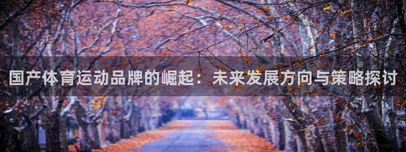 JJB竞技宝官网下载平台APP：国产体育运动品牌的崛起：未来