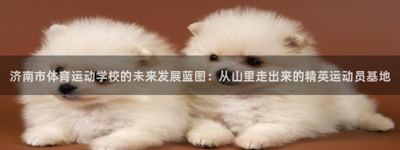 JJB竞技宝官网下载是干嘛的公司