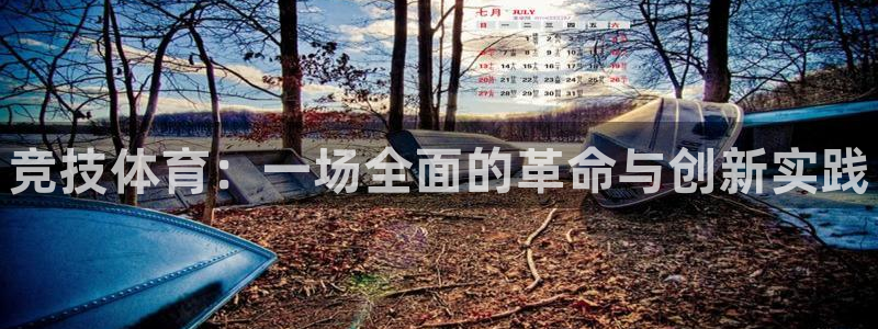 JJB竞技宝官方正版app官网：竞技体育：一场全面的