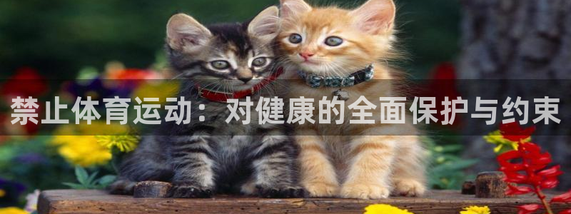 JJB竞技宝官方集团官网