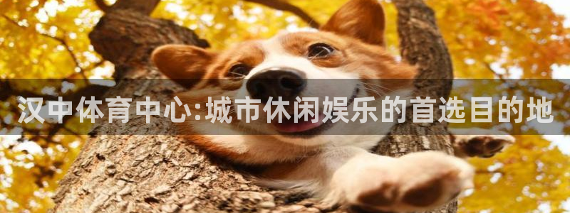 JJB竞技宝官方正版app娱乐网站：汉中体育中心:城
