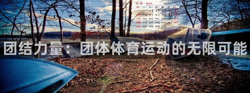 JJB竞技宝官网下载是干嘛的公司：团结力量：团体体育运动的无