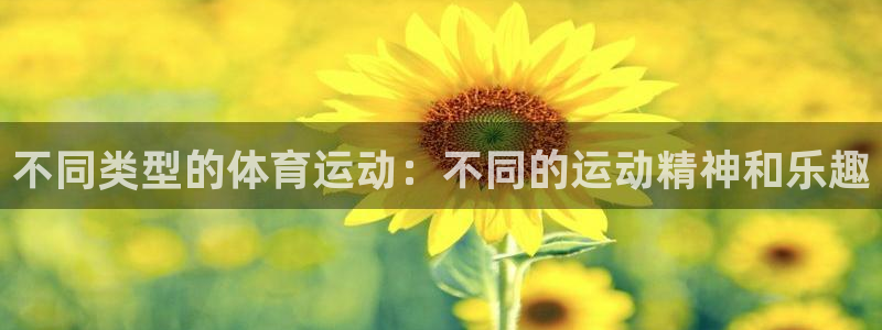 JJB竞技宝官网下载平台APP：不同类型的体育运动：不同的运