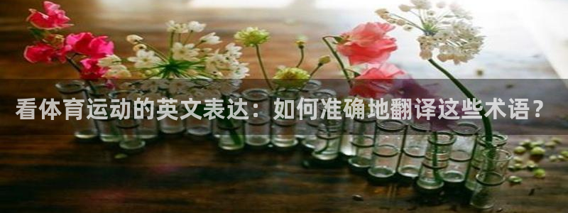 JJB竞技宝官网下载注册：看体育运动的英文表达：如何准确地翻
