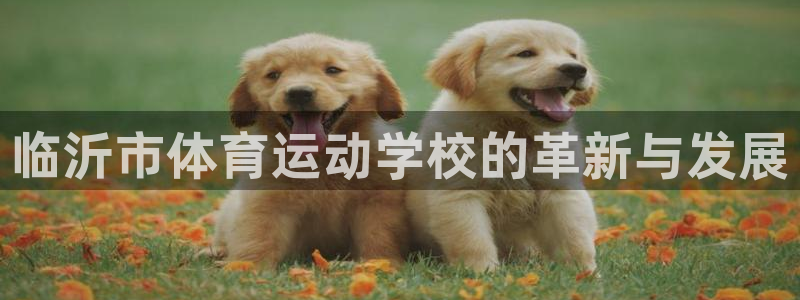 JJB竞技宝官网下载平台假的吗是真的吗：临沂市体育运动学校的