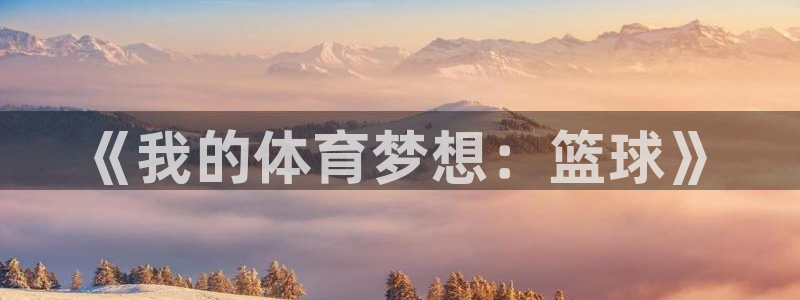 JJB竞技宝官网下载平台是正规平台吗：《我的体育梦想：篮球》