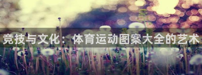 JJB竞技宝官方正版app娱乐首页官网下载