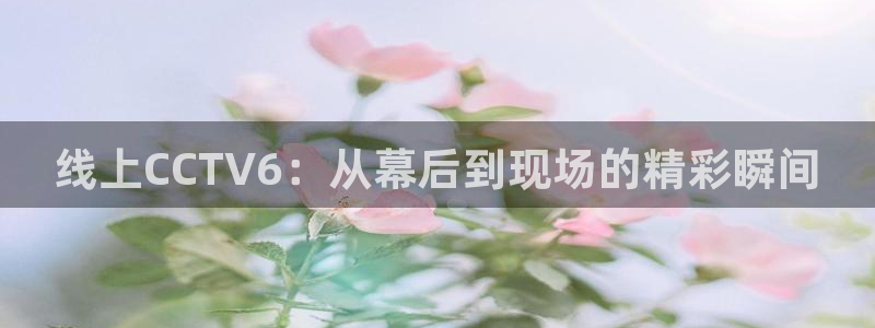 857免费看球直播：线上CCTV6：从幕后到现场的精彩瞬间