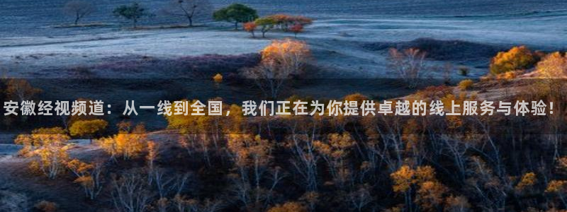 857体育直播解说：安徽经视频道：从一线到全国，我们正在为你提供卓越的线上服务与体验！