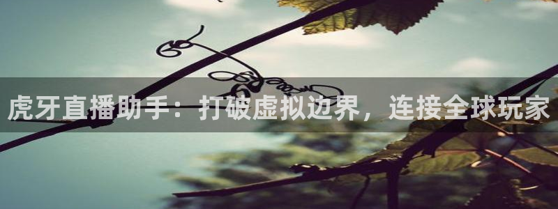 857体育直播nba：虎牙直播助手：打破虚拟边界，连接全球玩家
