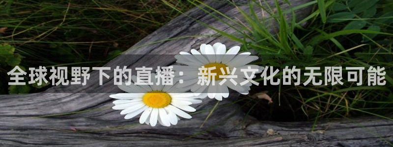 857直播nba在线观看