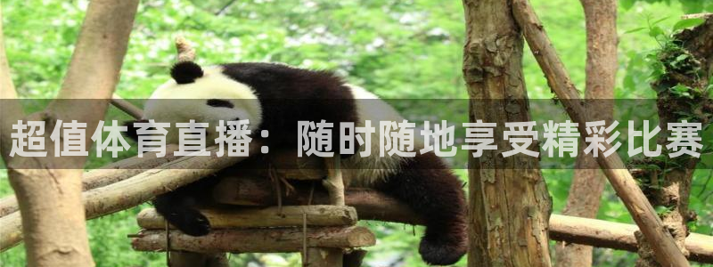 857直播体育n：超值体育直播：随时随地享受精彩比赛