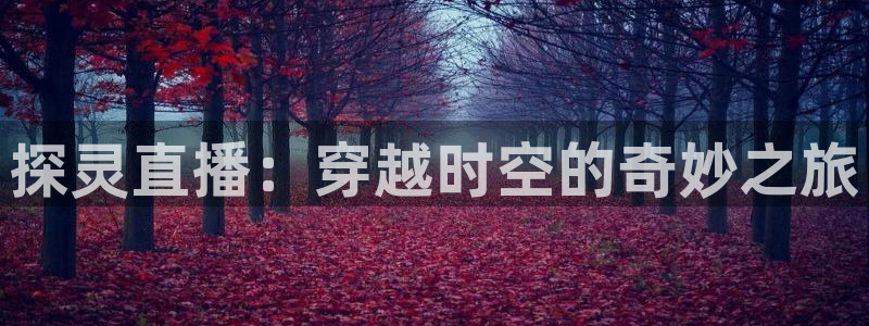 857免费看球直播：探灵直播：穿越时空的奇妙之旅