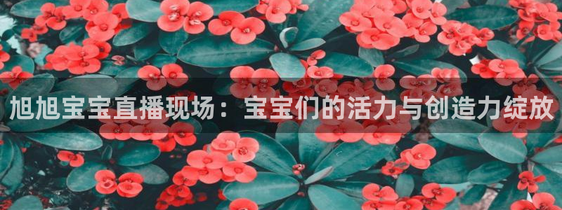 857足球直播观看入口：旭旭宝宝直播现场：宝宝们的活力与创造力绽放