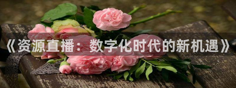 857体育直播解说
