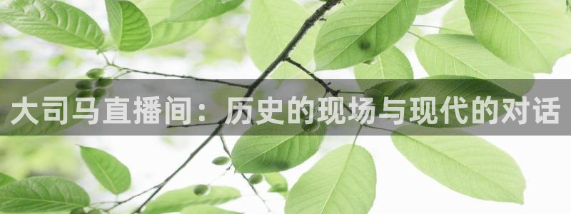 857nba体育赛事直播：大司马直播间：历史的现场与现代的对话