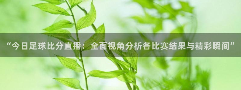 857直播体育在线：“今日足球比分直播：全面视角分析各比赛结果与精彩瞬间”
