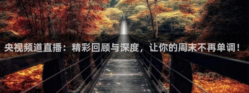 857足球比赛直播免费：央视频道直播：精彩回顾与深度，让你的周末不再单调！