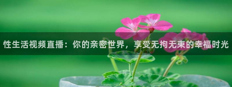 857体育直播免费观看