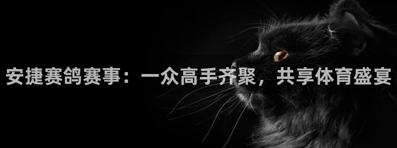 857 直播：安捷赛鸽赛事：一众高手齐聚，共享体育盛宴
